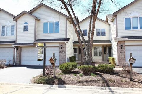 307 Camarie Ct, Naperville, IL 60540 photo 14
