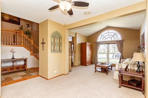 248 Dallas Dr, Bartlett, IL 60103 photo 4