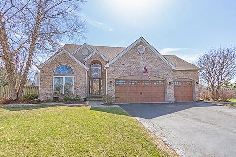 248 Dallas Dr, Bartlett, IL 60103 photo 1