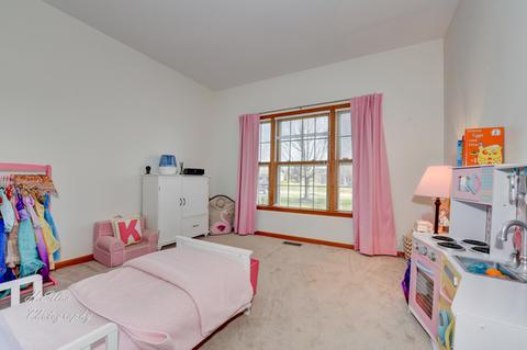 3680 Lakeview Dr, Algonquin, IL 60102 photo 15