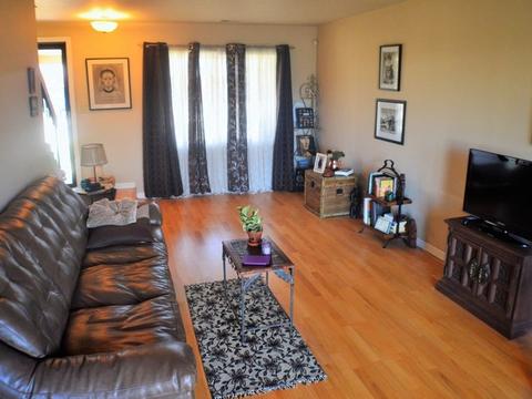 1413 Chippewa Trl, Wheeling, IL 60090 photo 4