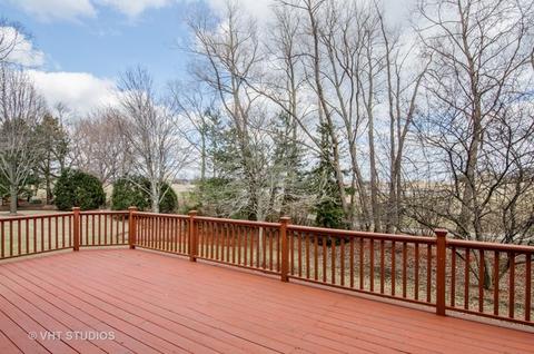 1305 Stonegate Rd, Algonquin, IL 60102 photo 20
