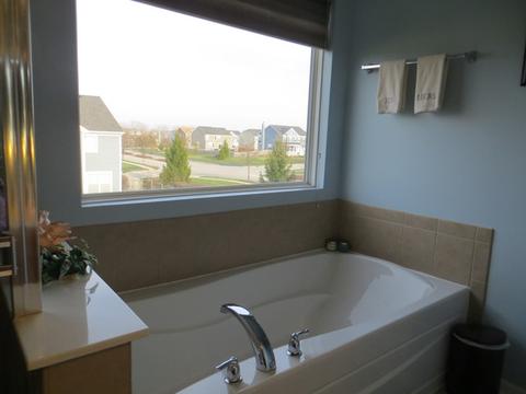 361 Tracy Ln, Elgin, IL 60124 photo 16