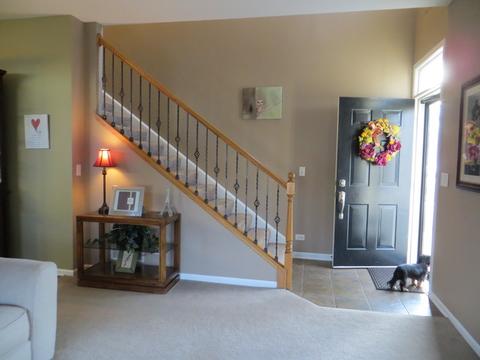 361 Tracy Ln, Elgin, IL 60124 photo 5