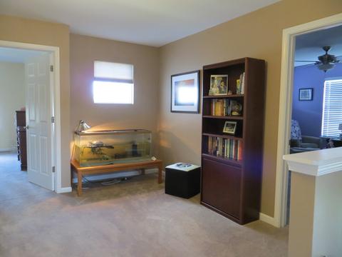 361 Tracy Ln, Elgin, IL 60124 photo 21