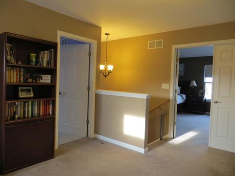 361 Tracy Ln, Elgin, IL 60124 photo 22
