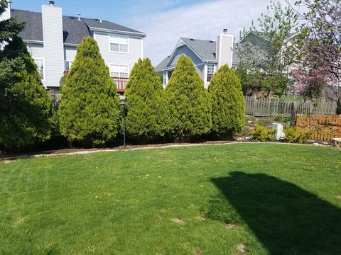 1014 Bentley Ln, Bartlett, IL 60103 photo 17