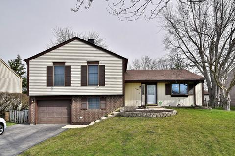 251 Polk Ct, Bartlett, IL 60103 photo 1