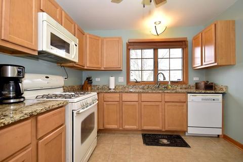 251 Polk Ct, Bartlett, IL 60103 photo 13