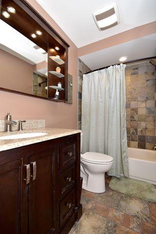 251 Polk Ct, Bartlett, IL 60103 photo 17