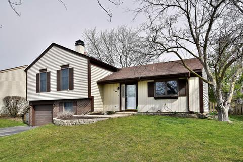 251 Polk Ct, Bartlett, IL 60103 photo 32
