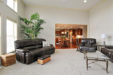 26616 Lindengate Cir, Plainfield, IL 60585 photo 9