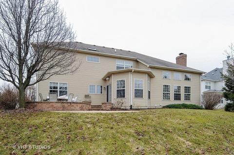 26616 Lindengate Cir, Plainfield, IL 60585 photo 20