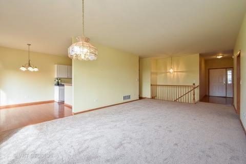 21133 Buckeye Ct, Plainfield, IL 60544 photo 3