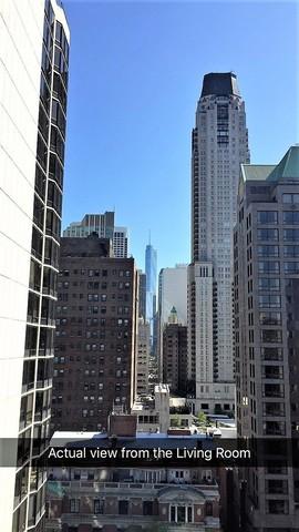33 E Cedar St #17C, Chicago, IL 60611 photo 7