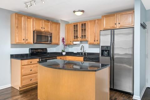 33 E Cedar St #17C, Chicago, IL 60611 photo 4
