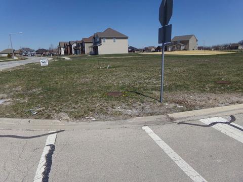 15830 Brookshore Dr, Plainfield, IL 60544 photo 4