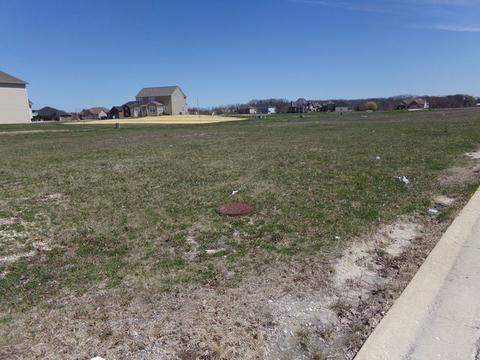 15830 Brookshore Dr, Plainfield, IL 60544 photo 7