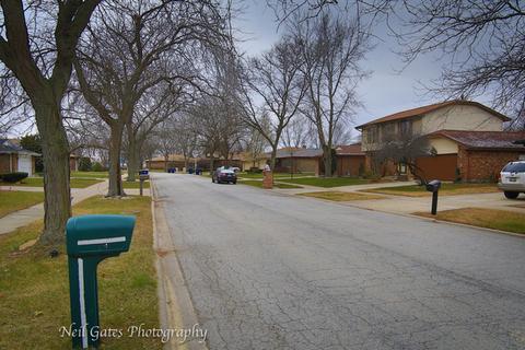 913 College Ave, Matteson, IL 60443 photo 29