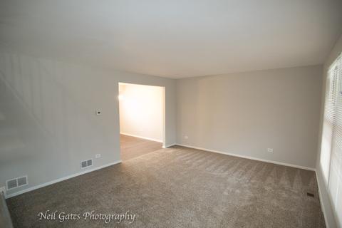 913 College Ave, Matteson, IL 60443 photo 4