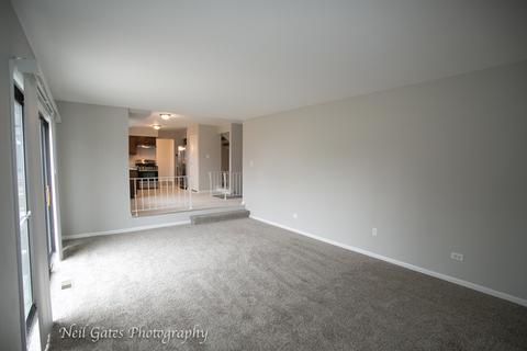 913 College Ave, Matteson, IL 60443 photo 12