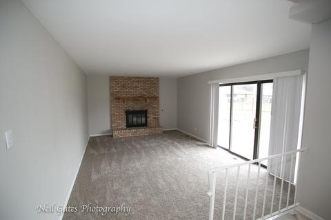 913 College Ave, Matteson, IL 60443 photo 11