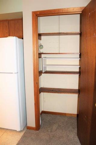 513 E Wall St, Morrison, IL 61270 photo 8