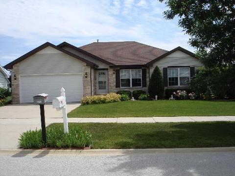 25761 S Taft St, Monee, IL 60449 photo 1