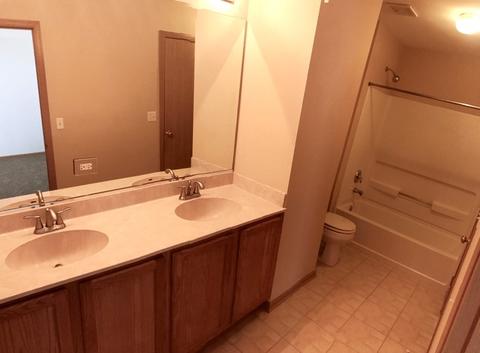 2129 Union Mill Dr, Aurora, IL 60503 photo 10