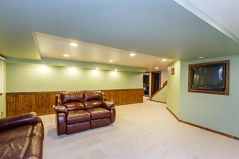 316 Windsor Dr, Bartlett, IL 60103 photo 15