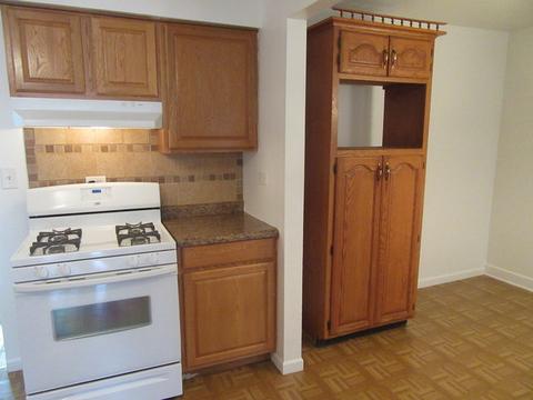 1072 Marshall Dr, Des Plaines, IL 60016 photo 5