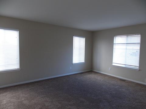14147 S Longview Ln, Plainfield, IL 60544 photo 5