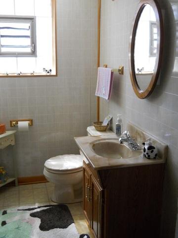 18 N School St, Addison, IL 60101 photo 12