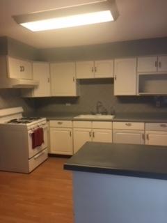 650 S Iowa Ave, Addison, IL 60101 photo 5