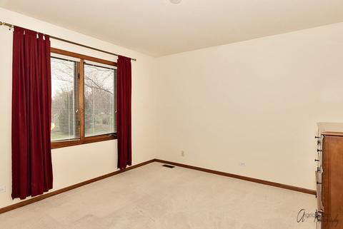 1509 Pine St, Spring Grove, IL 60081 photo 20