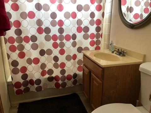 16405 Winchester Ave, Markham, IL 60428 photo 13