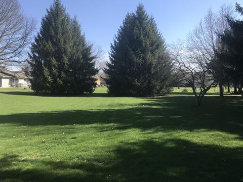 8 N858 Hopps Rd, Elgin, IL 60123 photo 15