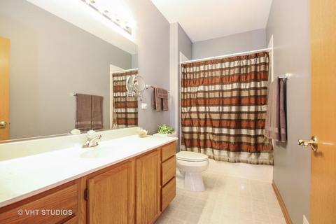 21006 W Walnut Ln, Plainfield, IL 60544 photo 8
