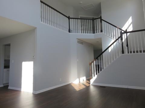 21017 W Bloomfield Dr, Plainfield, IL 60544 photo 3