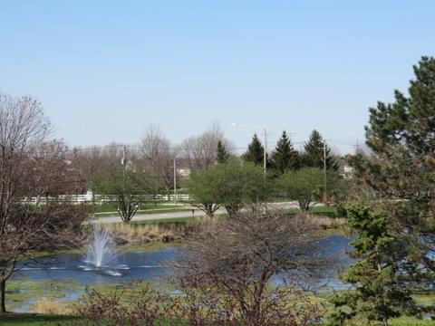 21017 W Bloomfield Dr, Plainfield, IL 60544 photo 19