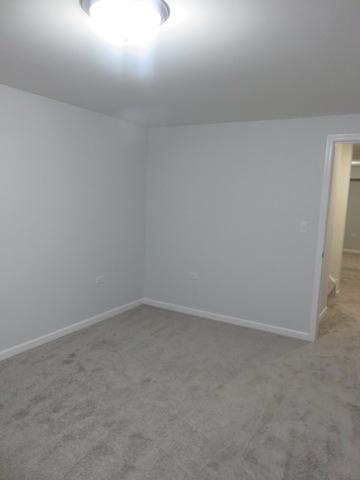 21017 W Bloomfield Dr, Plainfield, IL 60544 photo 17