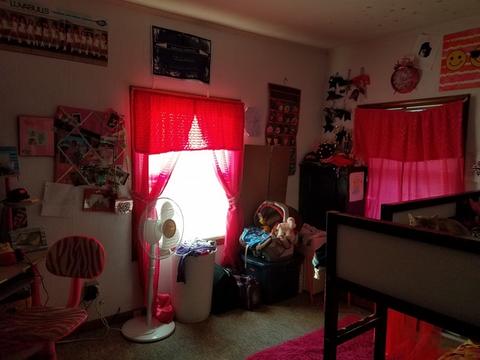365 Wilcox Ave, Elgin, IL 60123 photo 7