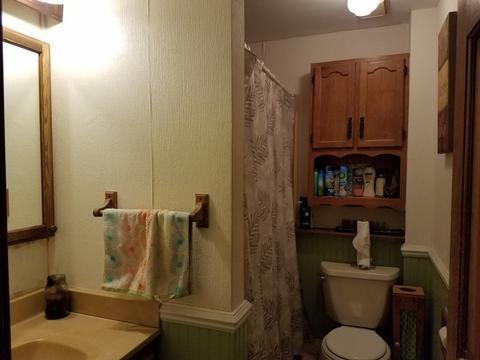 365 Wilcox Ave, Elgin, IL 60123 photo 8