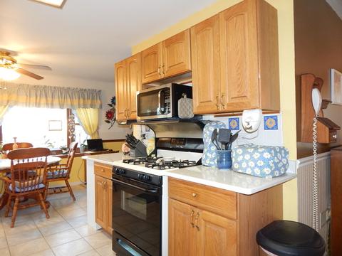 1043 W Maplewood Ln, Bartlett, IL 60103 photo 10