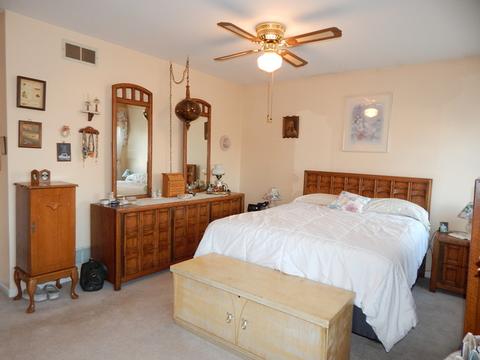 1043 W Maplewood Ln, Bartlett, IL 60103 photo 17