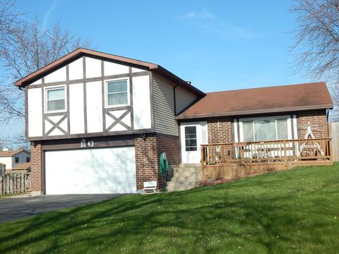 1043 W Maplewood Ln, Bartlett, IL 60103 photo 1