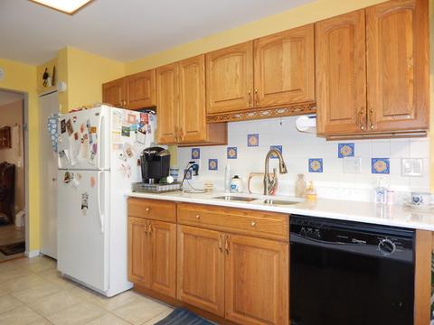 1043 W Maplewood Ln, Bartlett, IL 60103 photo 11