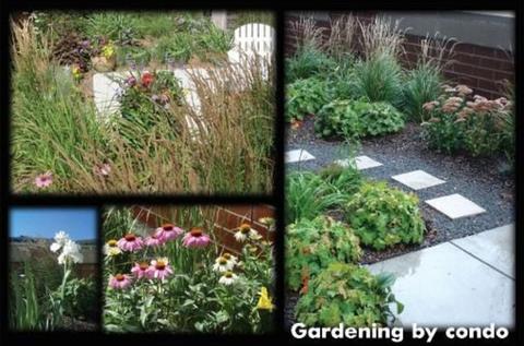 807 Davis St #603, Evanston, IL 60201 photo 14