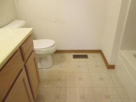 19 Cunningham Ln, Park Forest, IL 60466 photo 8