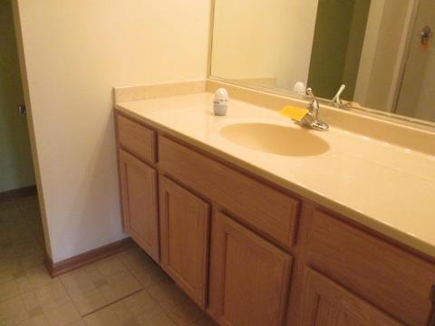 19 Cunningham Ln, Park Forest, IL 60466 photo 10